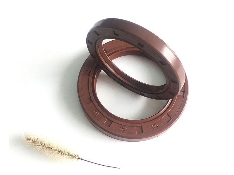 FKM Oil Seal