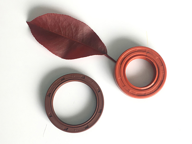 FKM Oil Seal