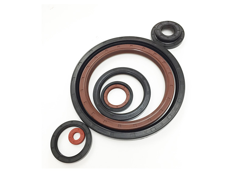 FKM Oil Seal