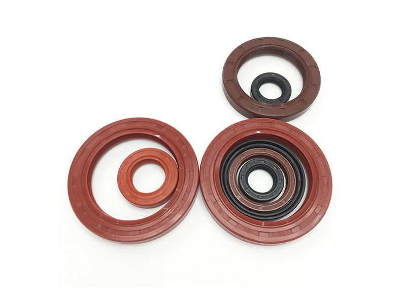 FKM Oil Seal