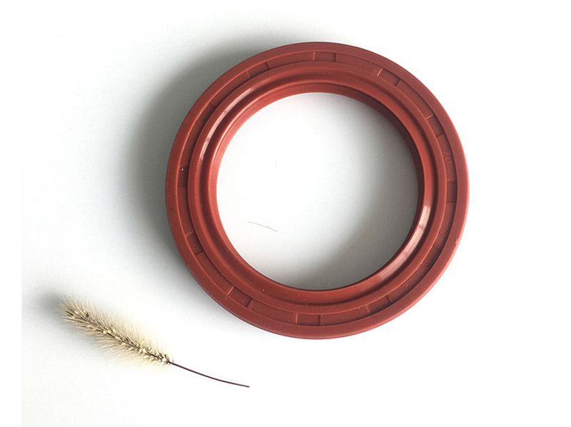 Silicon Oil Seal