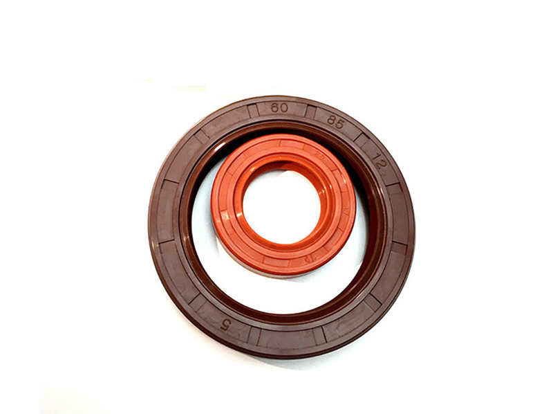 FKM Oil Seal