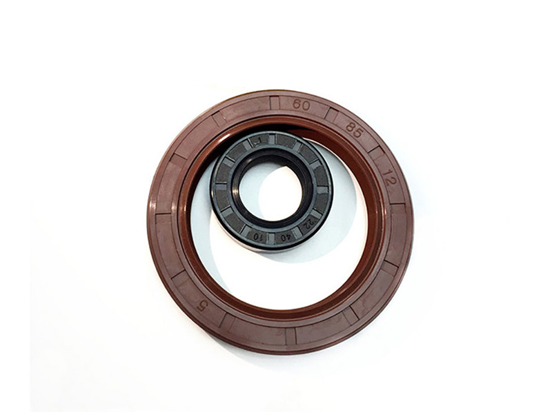 FKM Oil Seal