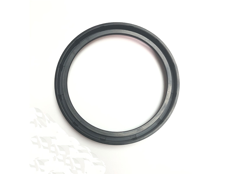 HNBR Oil Seal