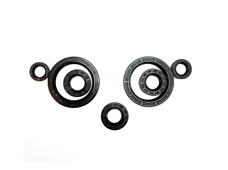 HNBR Oil Seal