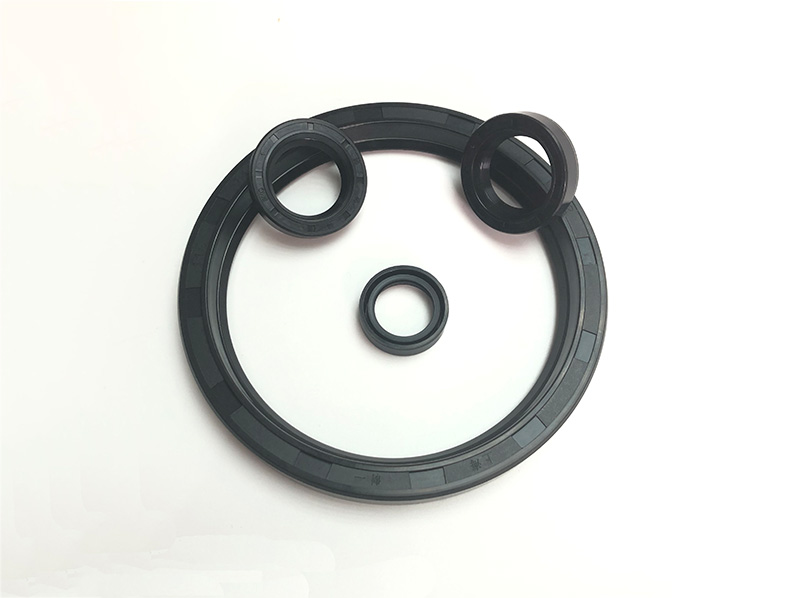 HNBR Oil Seal