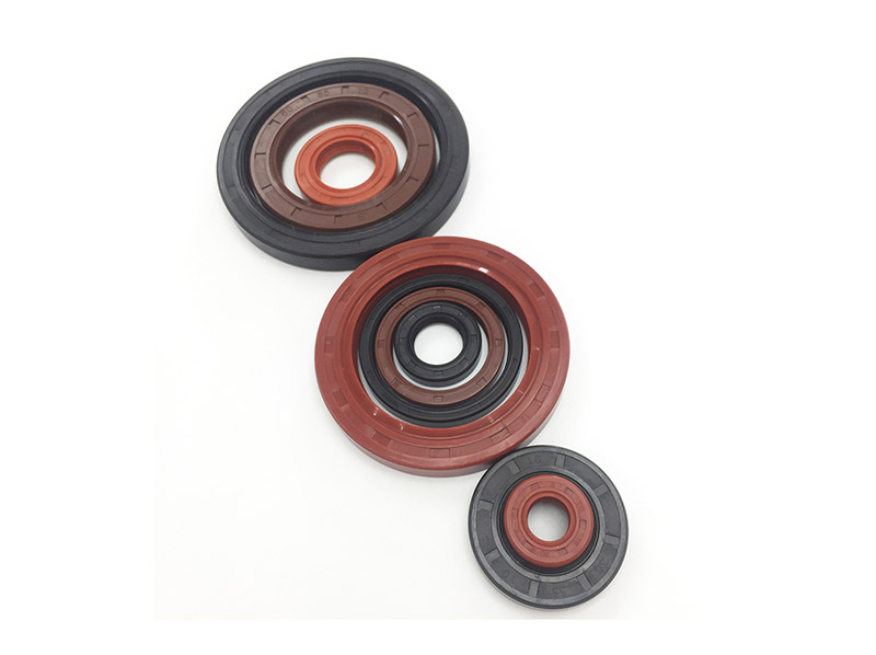 HNBR Oil Seal